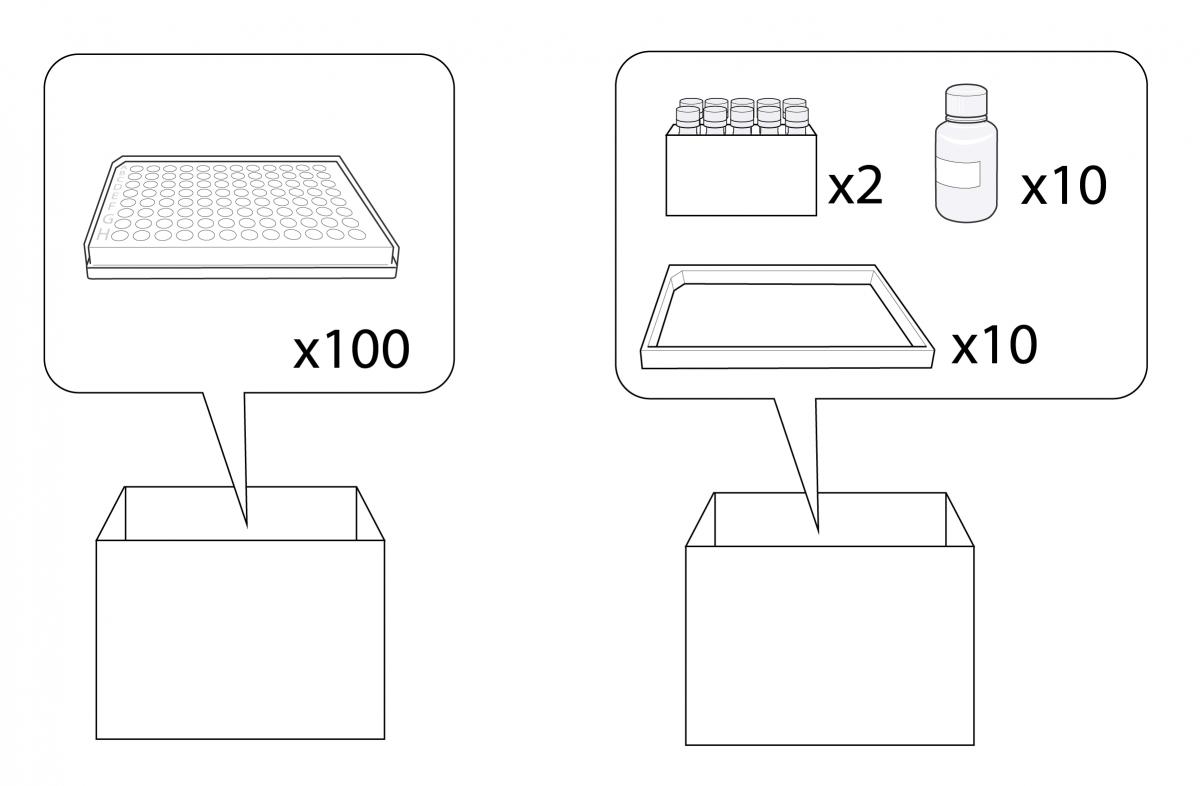 ELISpot Pro: Human IFN-gamma (ALP)